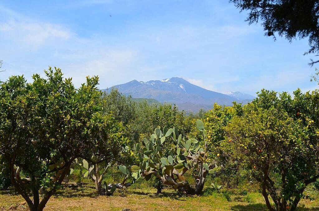 Photo of Outdoor in Viagrande