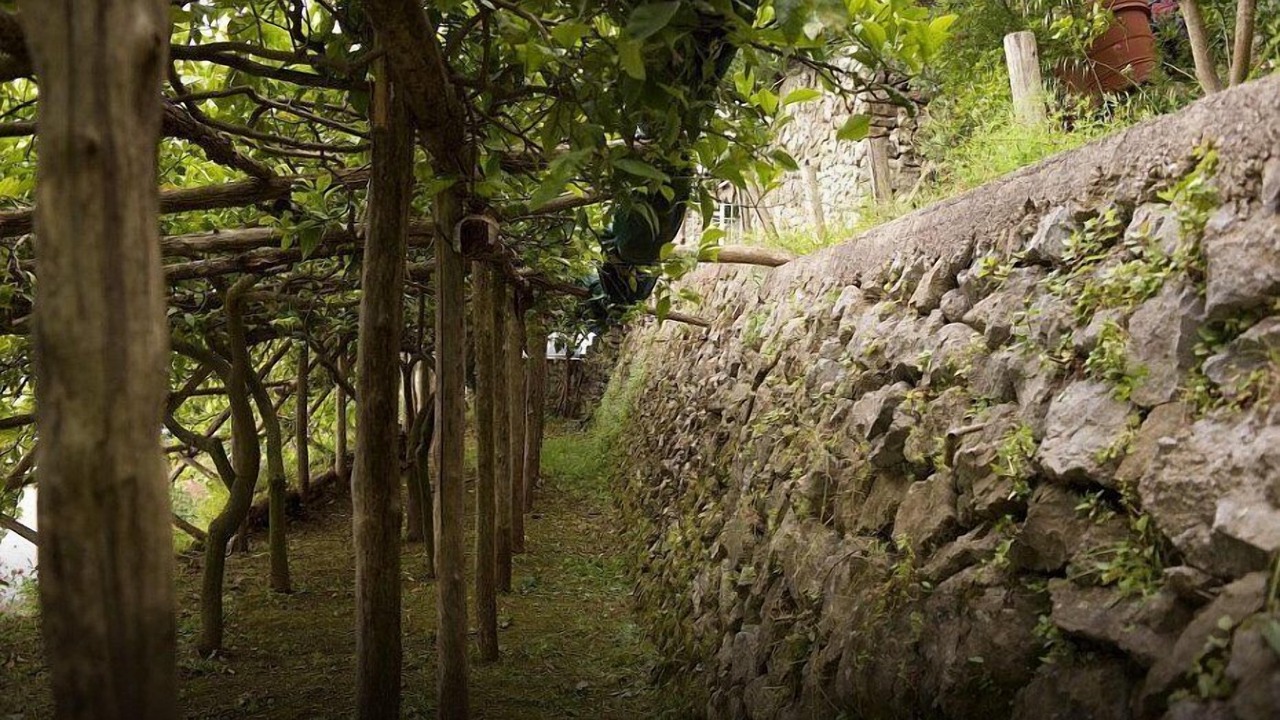 Photo of Outdoor in Ravello