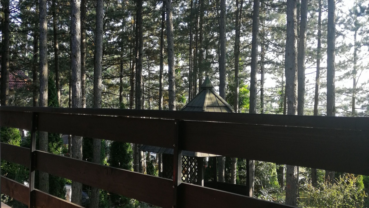 Photo of Outdoor in Zlatibor