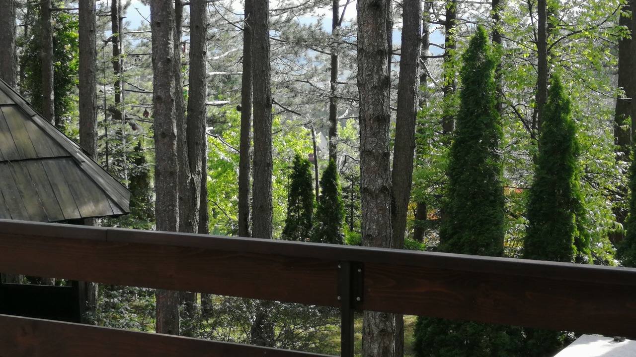 Photo of Outdoor in Zlatibor