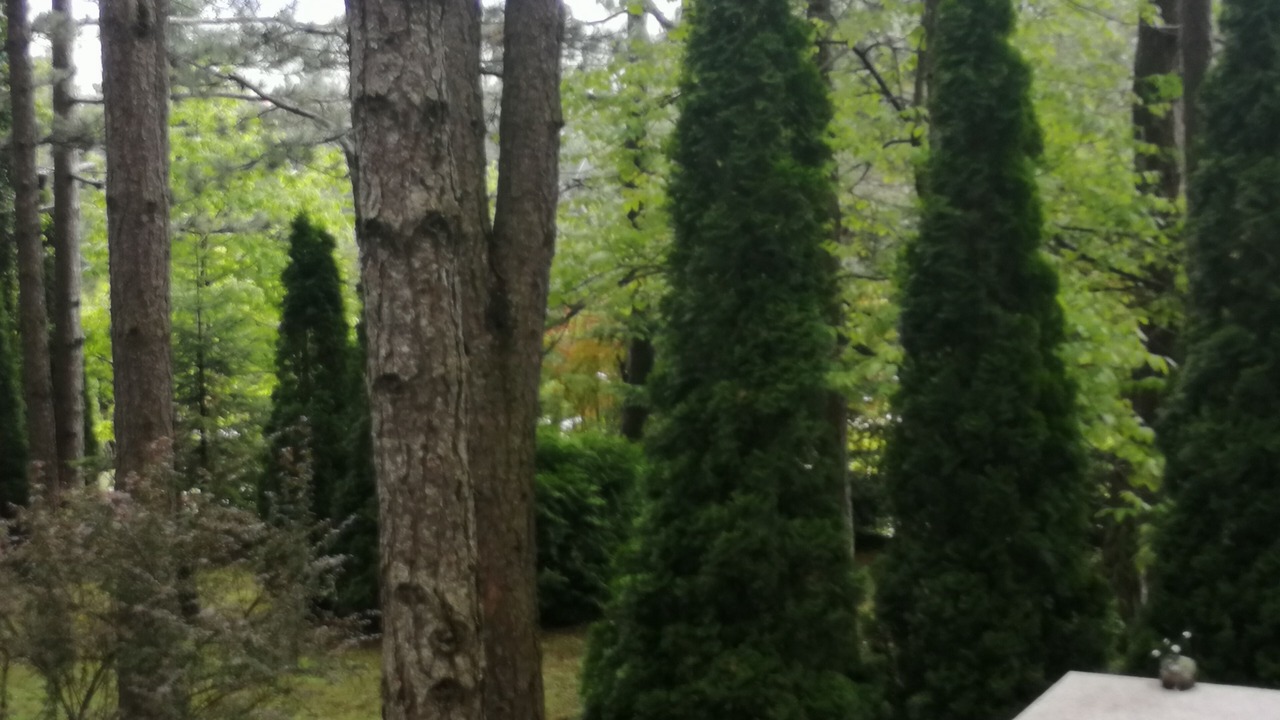 Photo of Outdoor in Zlatibor