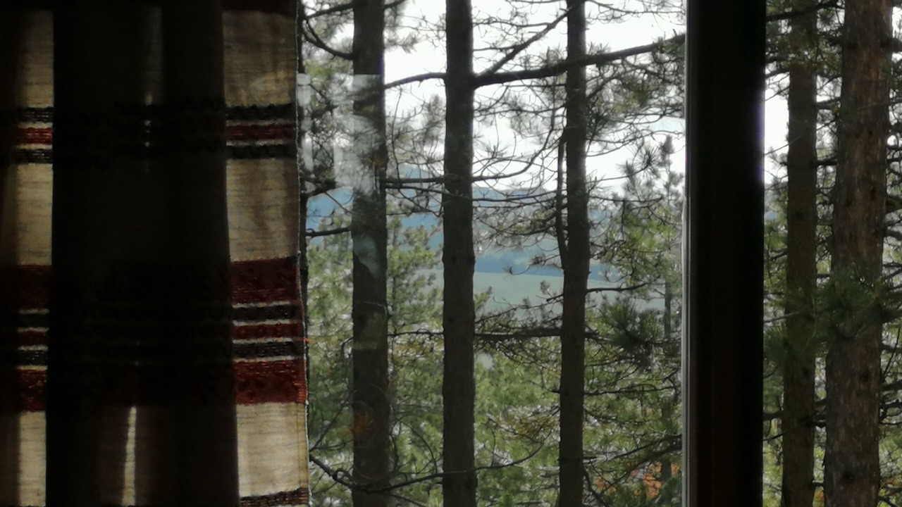 Photo of Others in Zlatibor