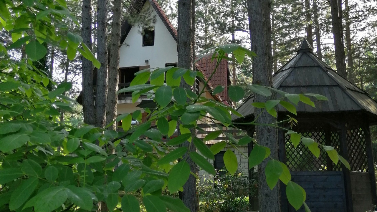 Photo of Outdoor in Zlatibor