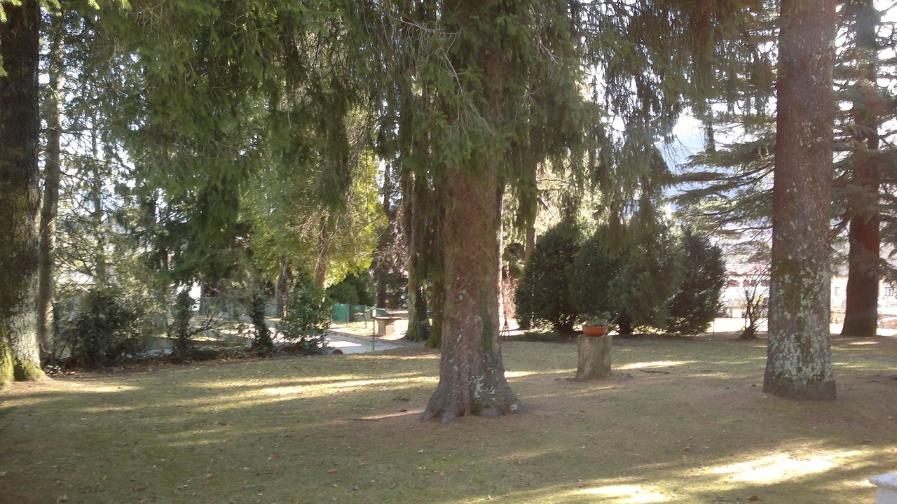 Photo of Outdoor in Lanzo d'Intelvi