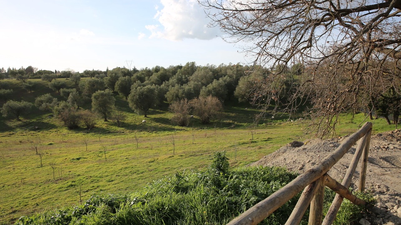 Photo of Others in Formello