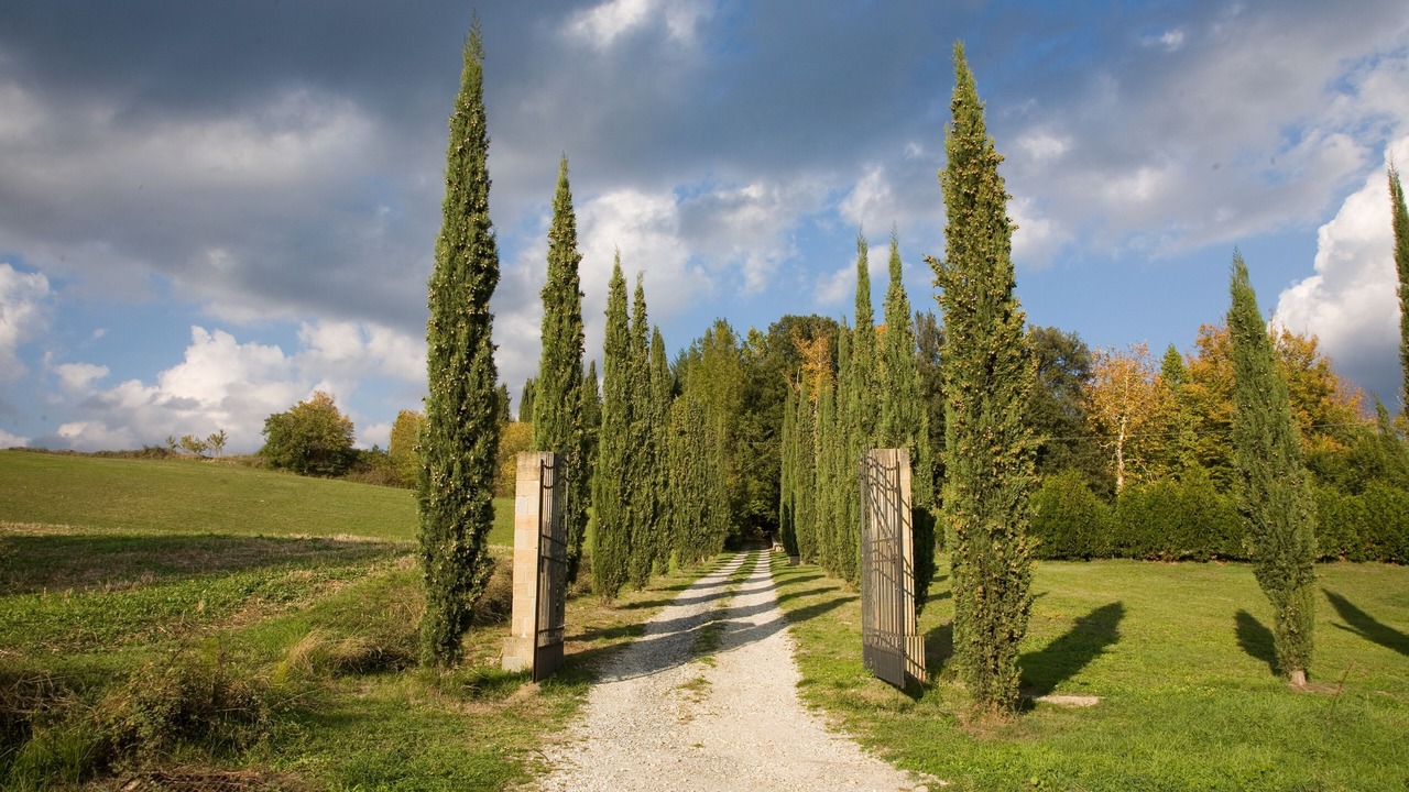 Photo of Outdoor in Pratovecchio