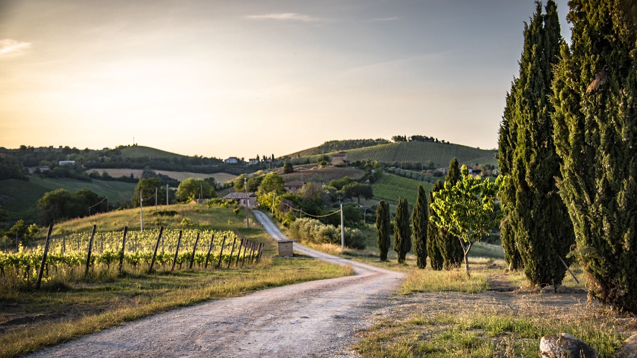 Photo of Outdoor in Montalto delle Marche
