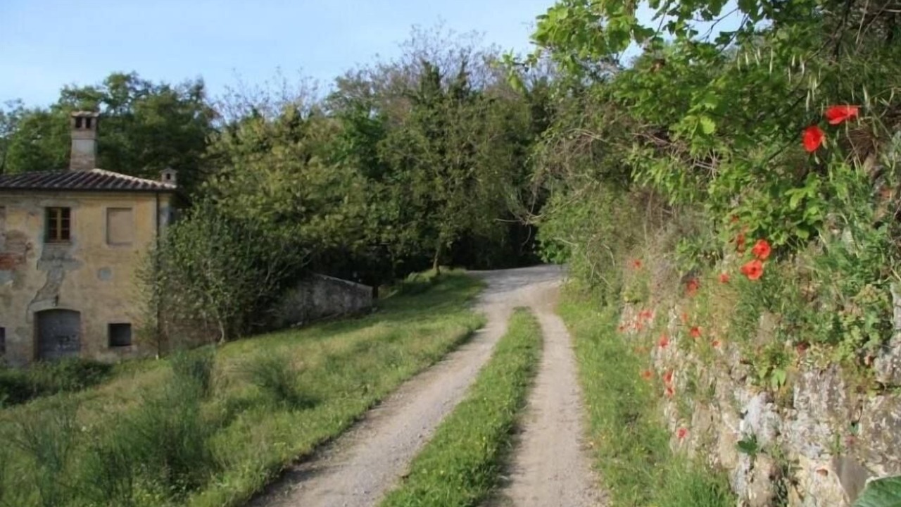 Photo of Outdoor in Palazzone
