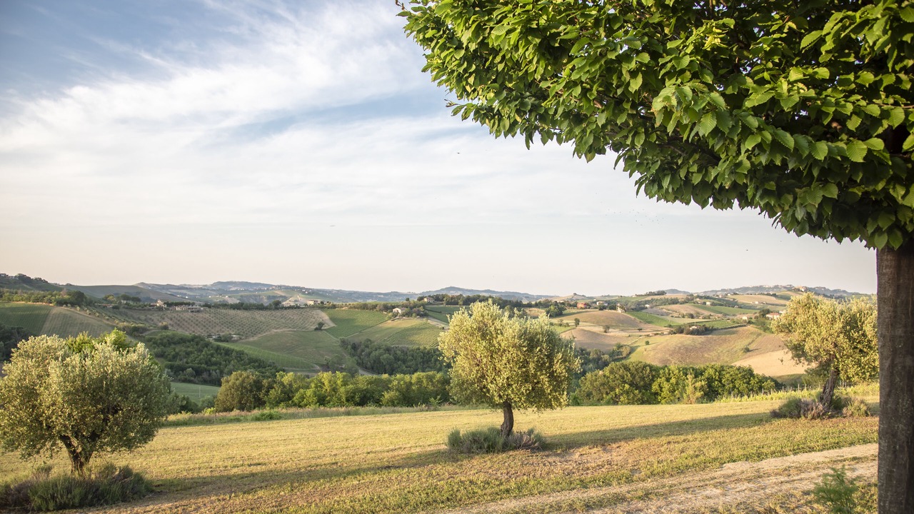 Photo of Outdoor in Montalto delle Marche