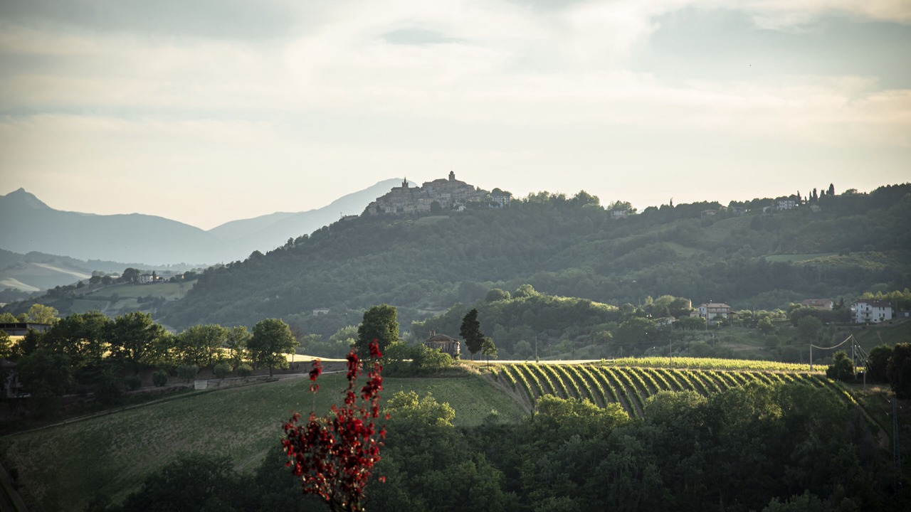 Photo of Outdoor in Montalto delle Marche