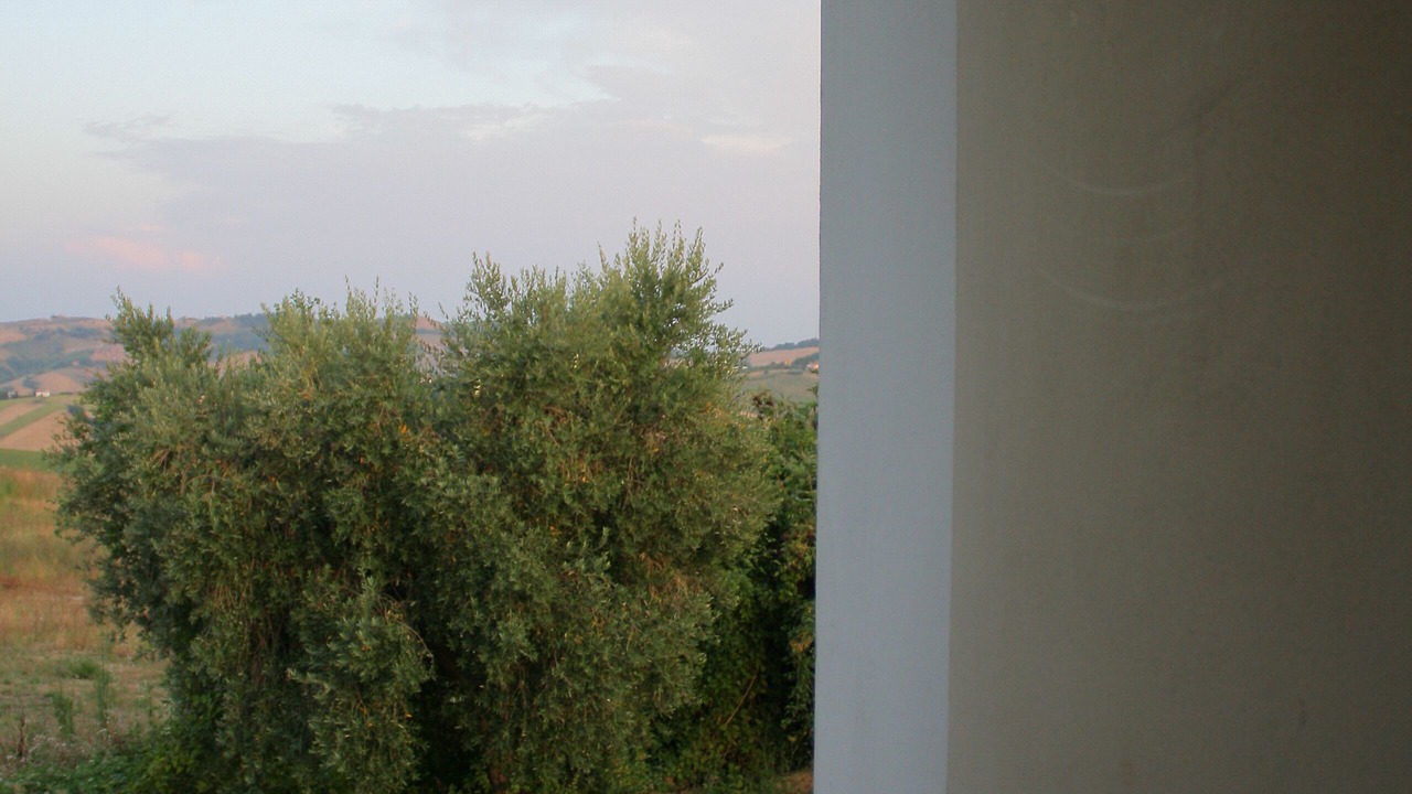 Photo of Others in Montalto delle Marche