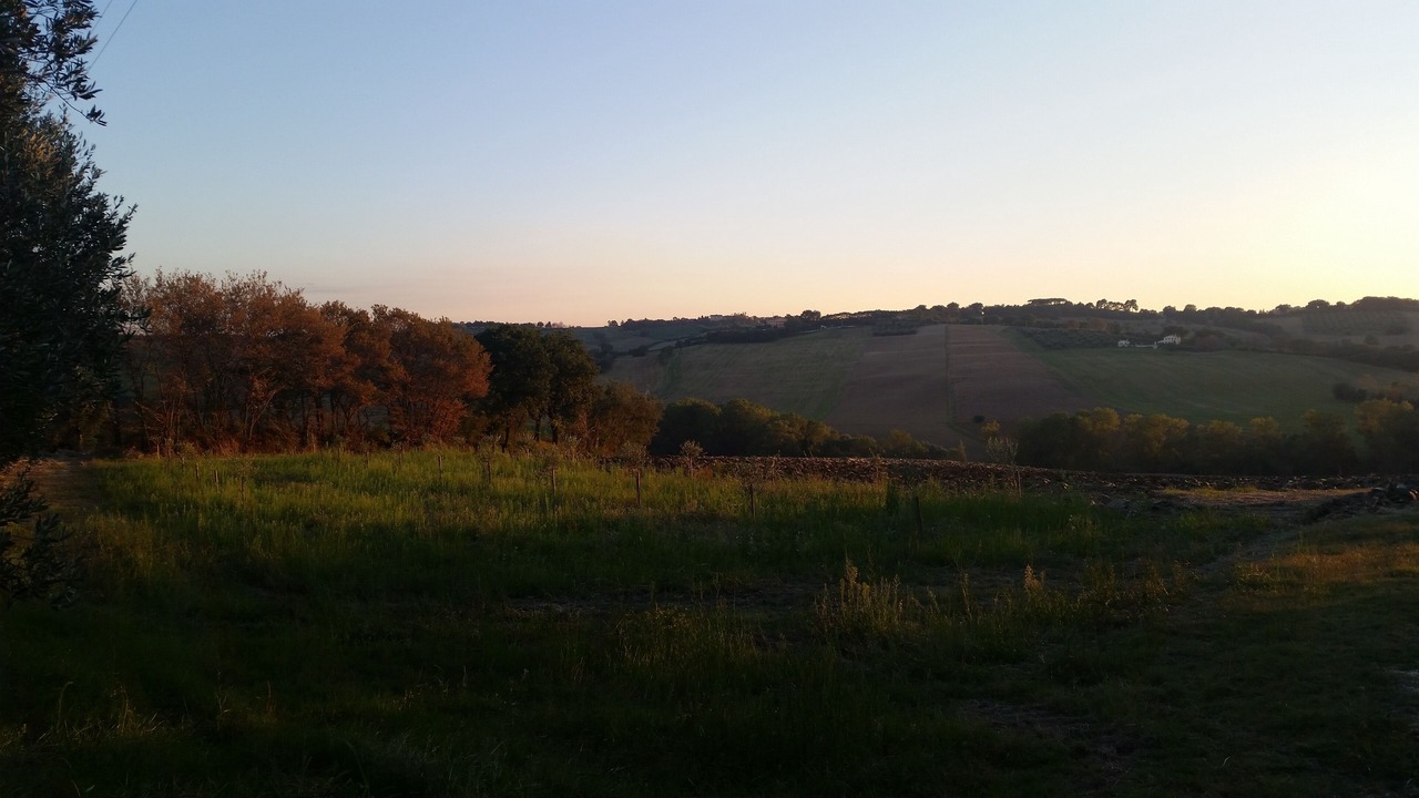Photo of Others in Montemarciano
