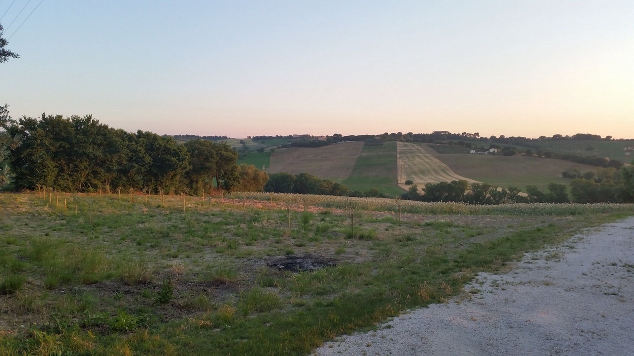 Photo of Others in Montemarciano