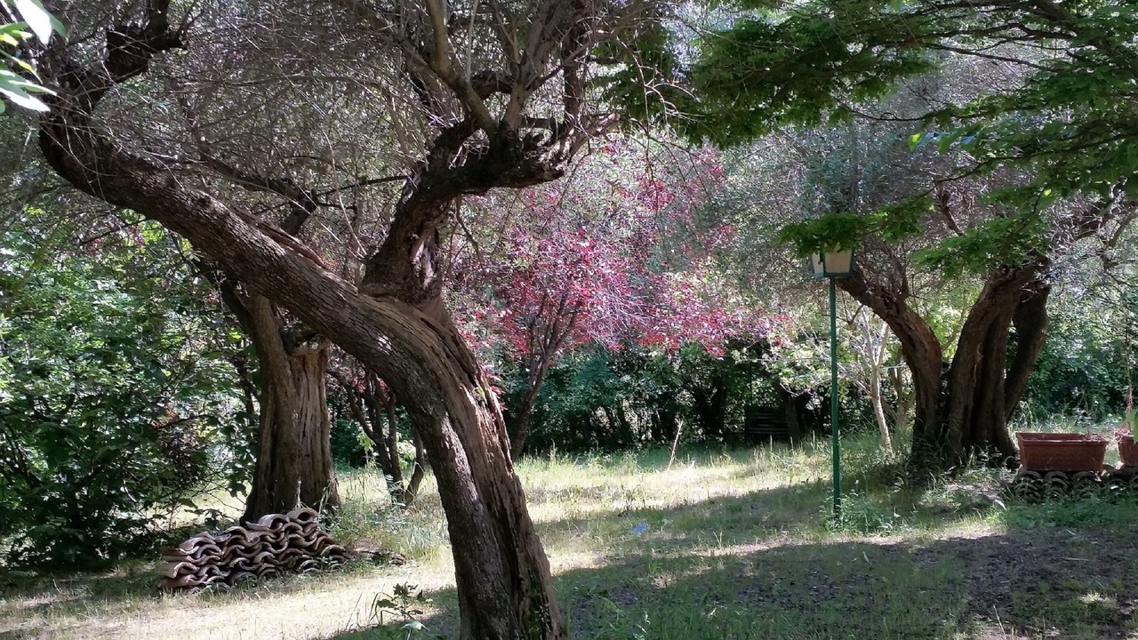 Photo of Outdoor in Montemarciano