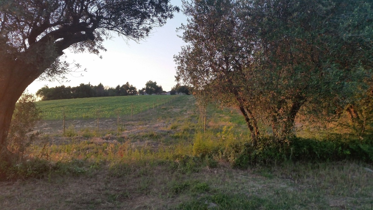 Photo of Others in Montemarciano
