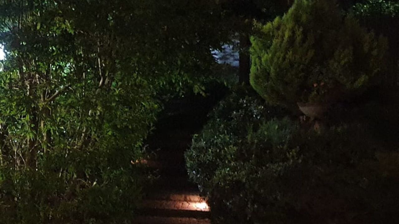 Photo of Outdoor in Pino Torinese
