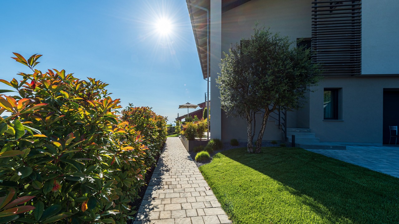 Photo of Outdoor in Treiso
