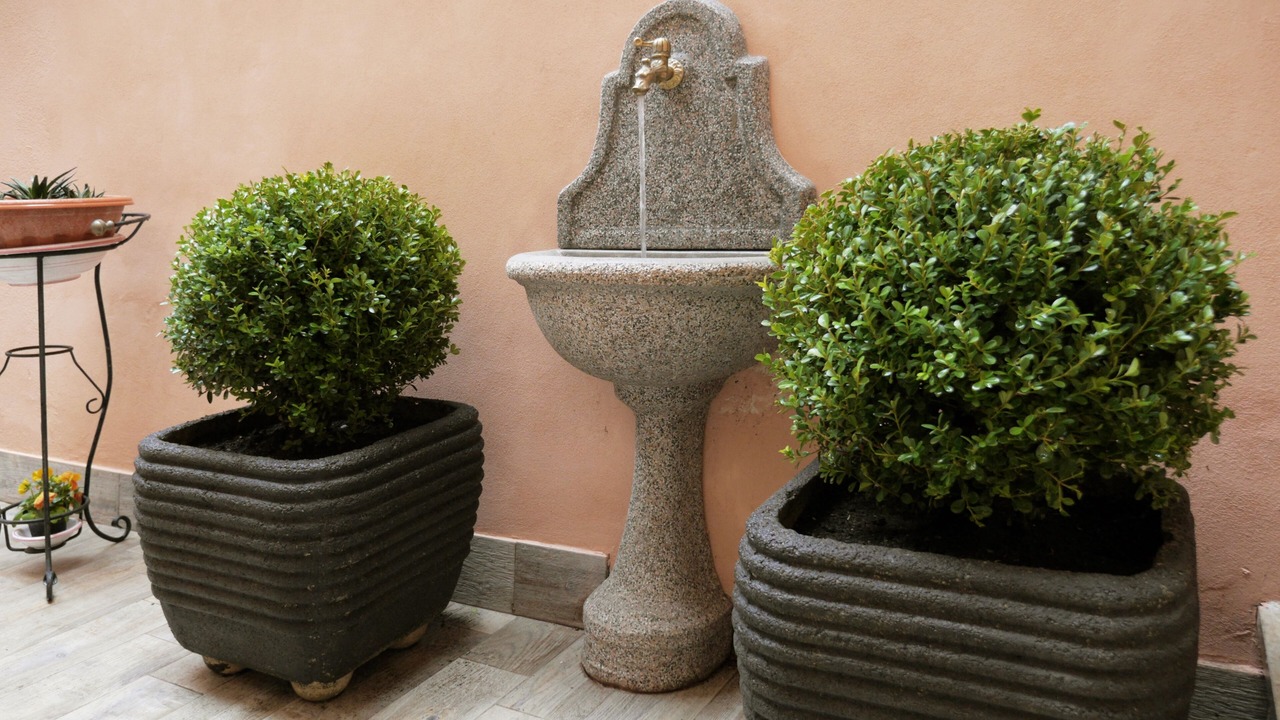 Photo of Outdoor in Trionfale