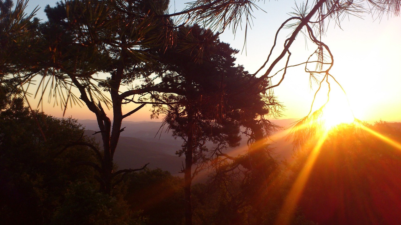 Photo of Outdoor in Torre Alfina