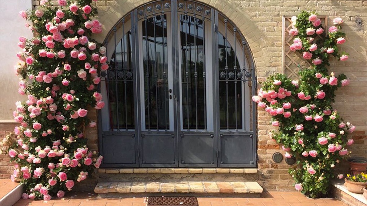 Photo of Outdoor in Monterubbiano