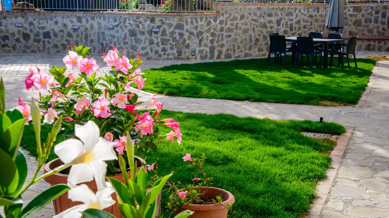 Photo of Outdoor in Pisciotta