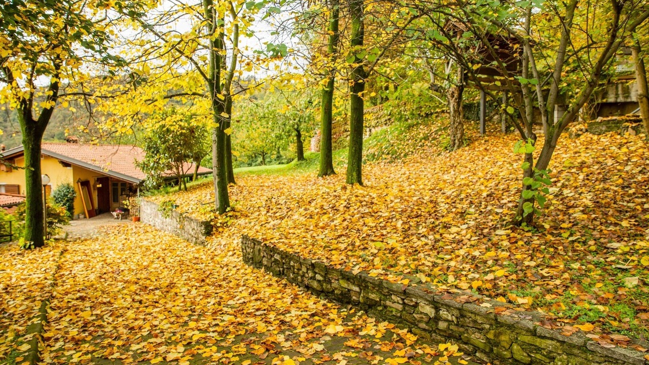 Photo of Outdoor in Monticelli Brusati