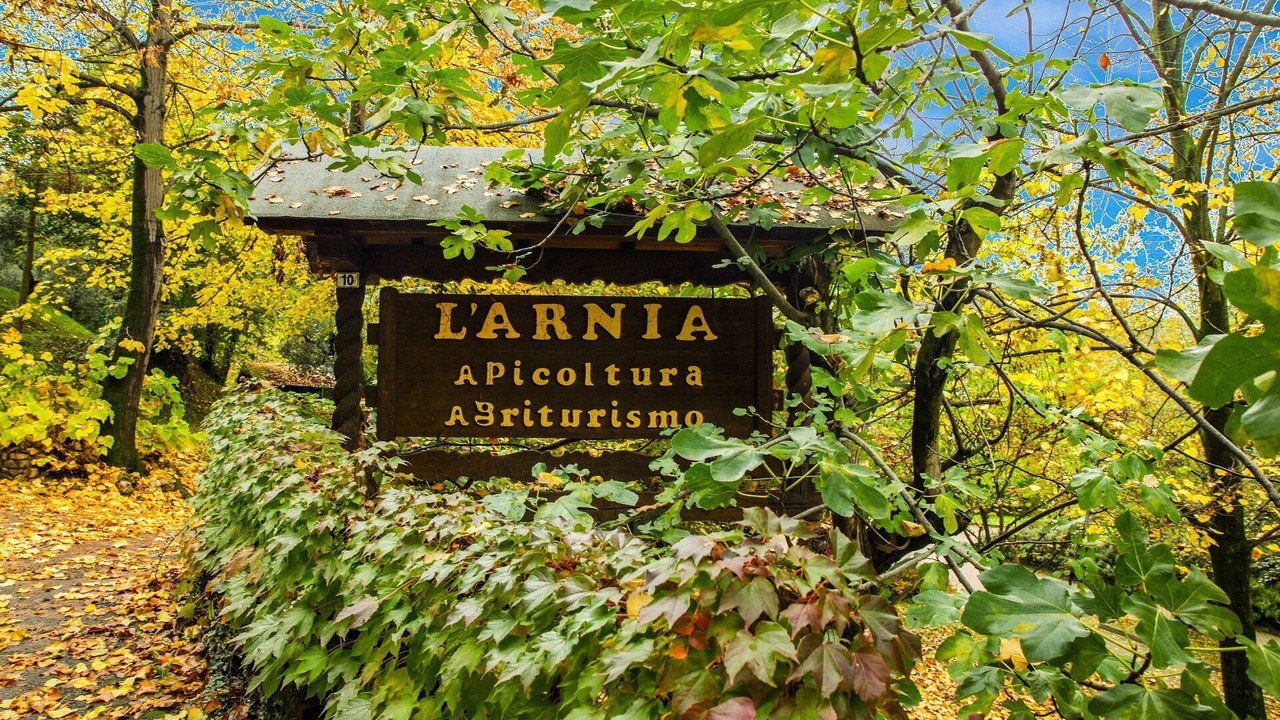 Photo of Outdoor in Monticelli Brusati
