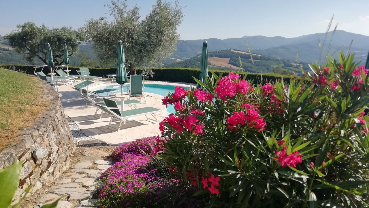 Photo of Outdoor in Santa Reparata