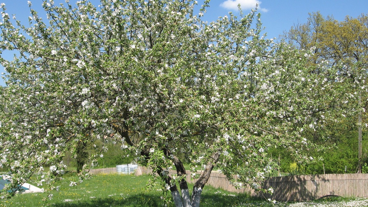 Photo of Outdoor in Acqualagna