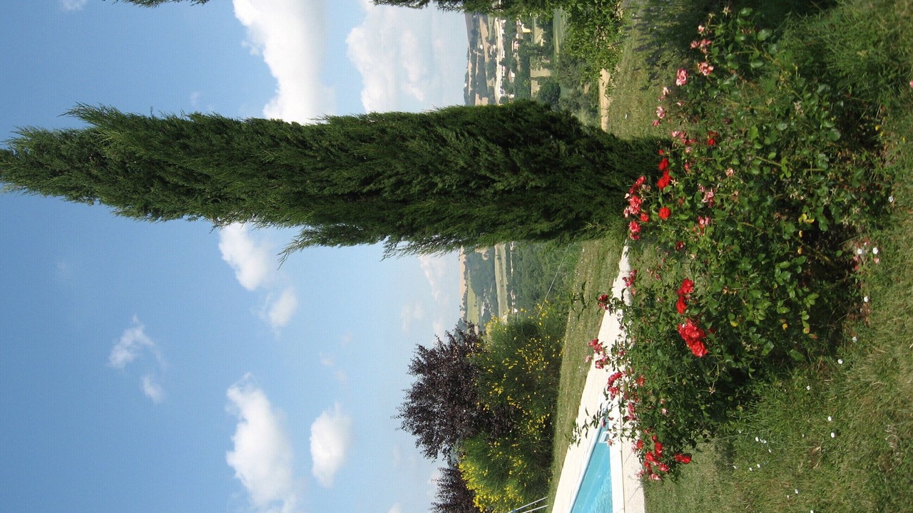 Photo of Outdoor in Cagli