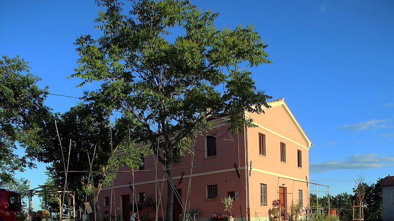 Photo of Outdoor in Serra de' Conti