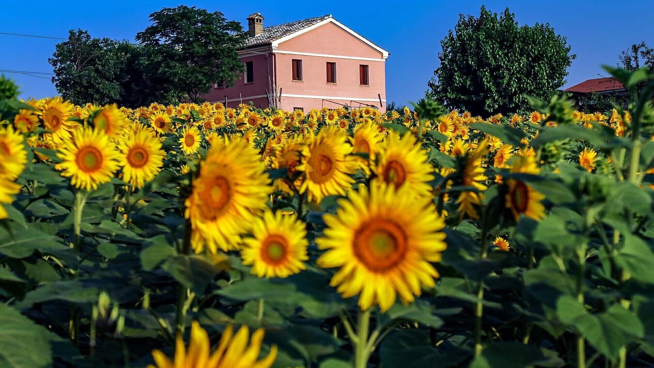 Photo of Outdoor in Serra de' Conti