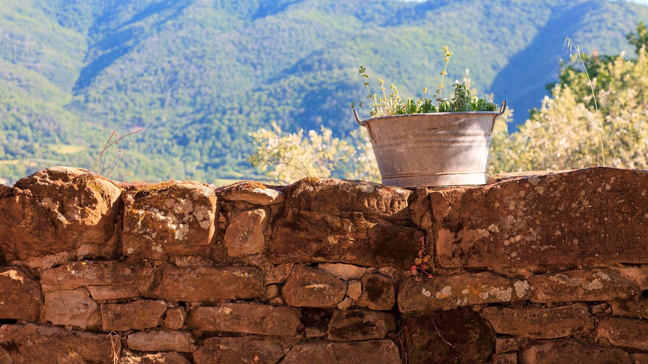 Photo of Others in Pieve di Chio