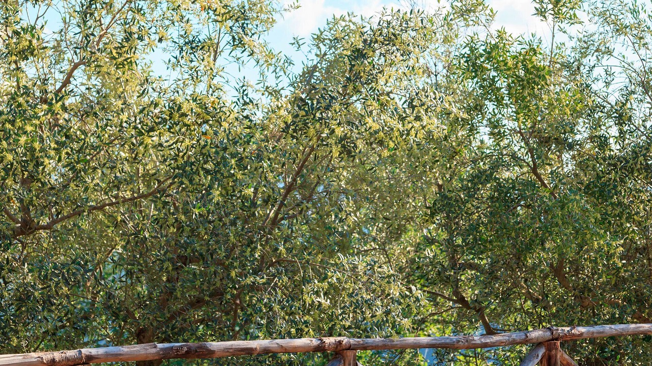 Photo of Outdoor in Pieve di Chio