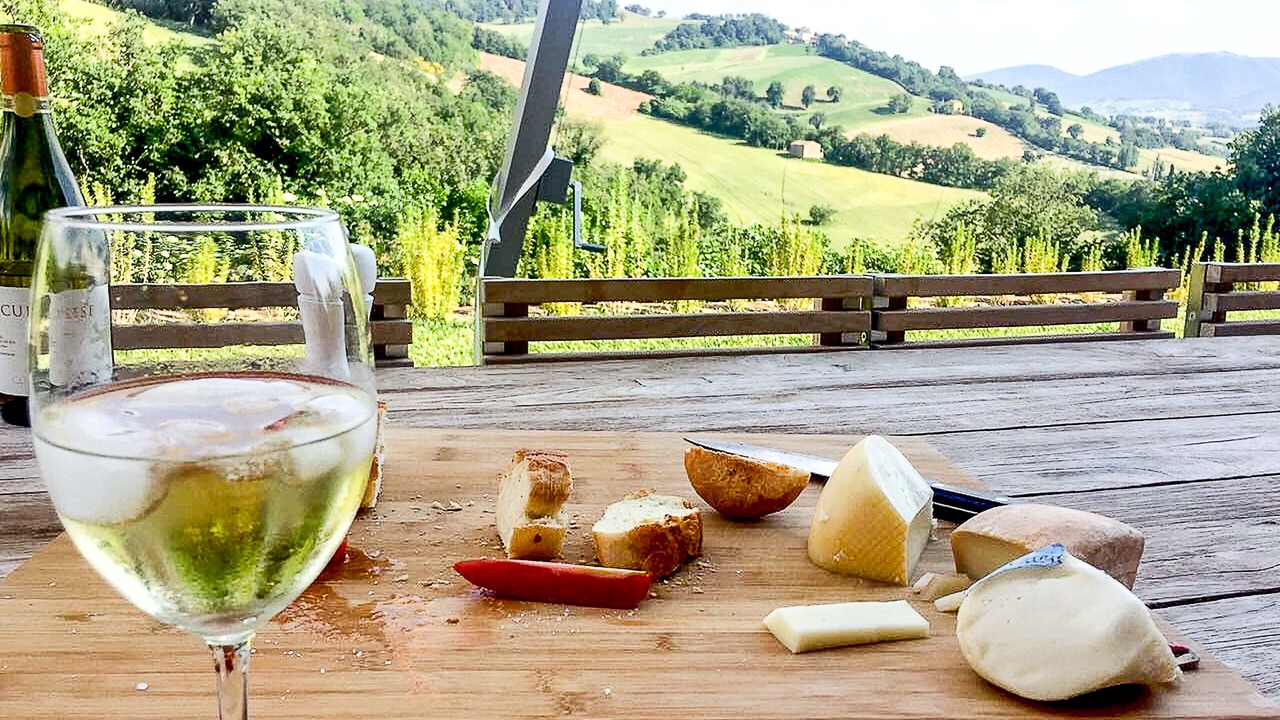 Photo of Outdoor in Apiro