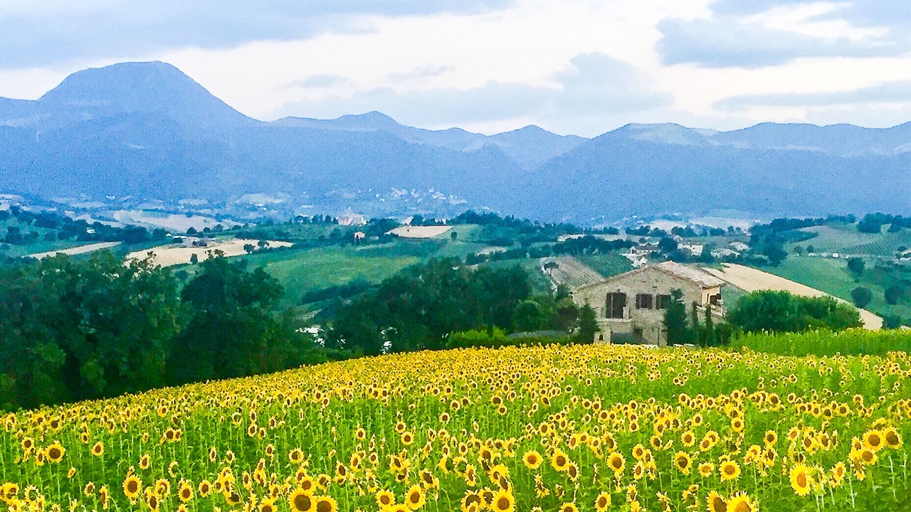 Photo of Outdoor in Apiro