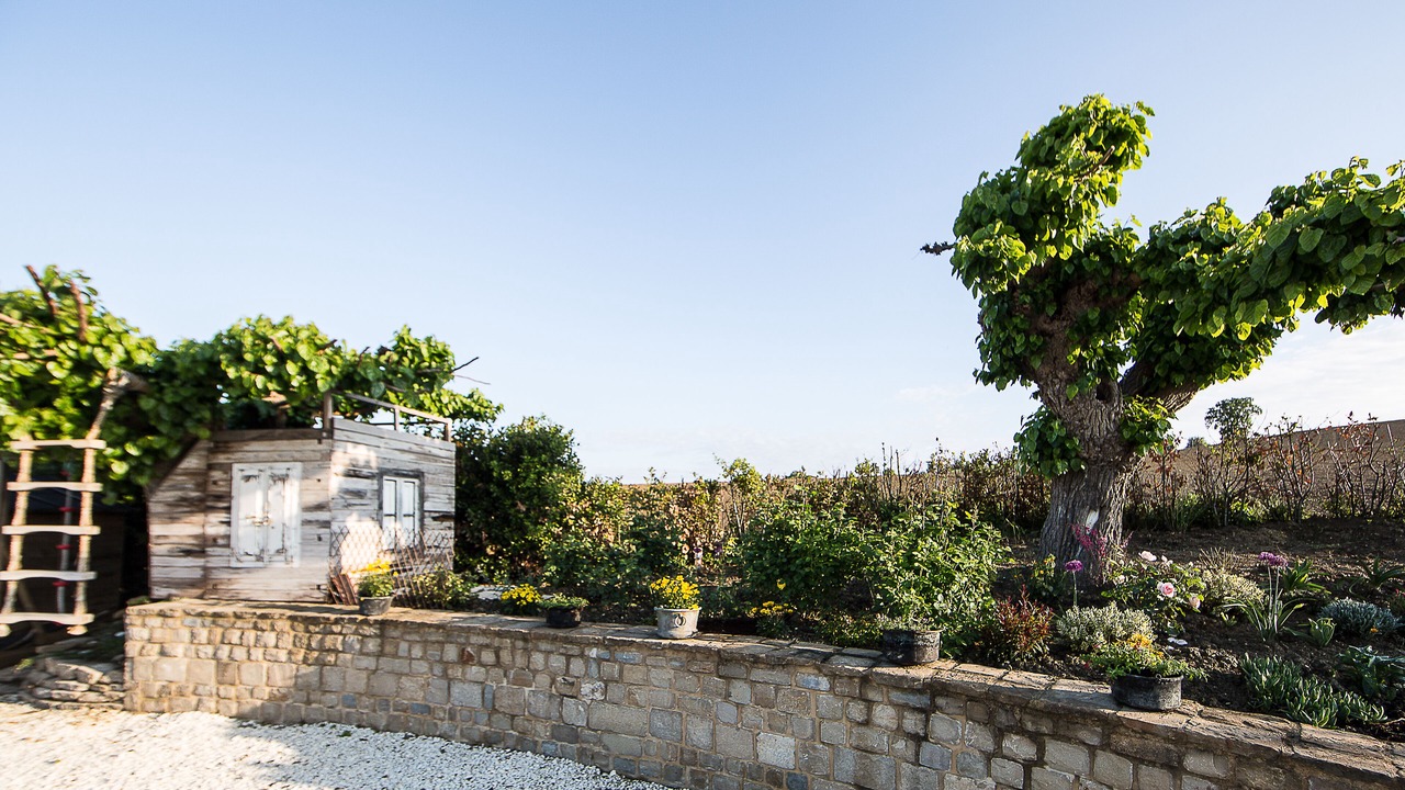 Photo of Outdoor in Apiro