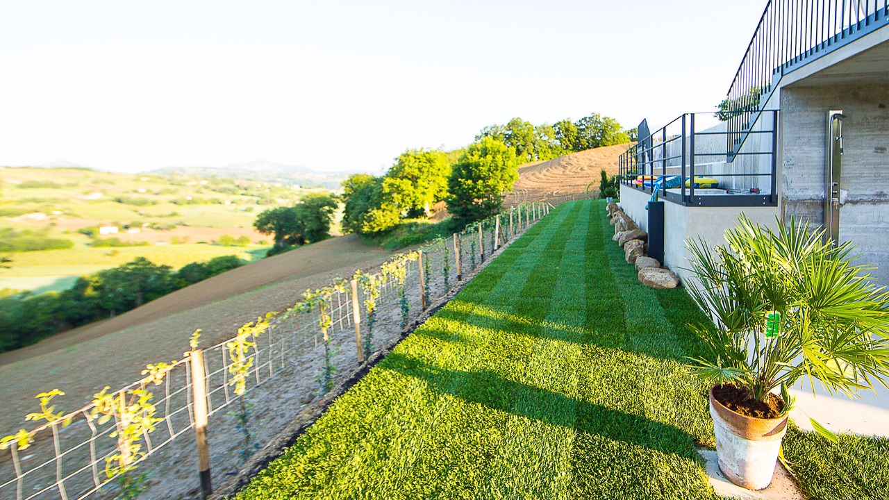 Photo of Outdoor in Apiro
