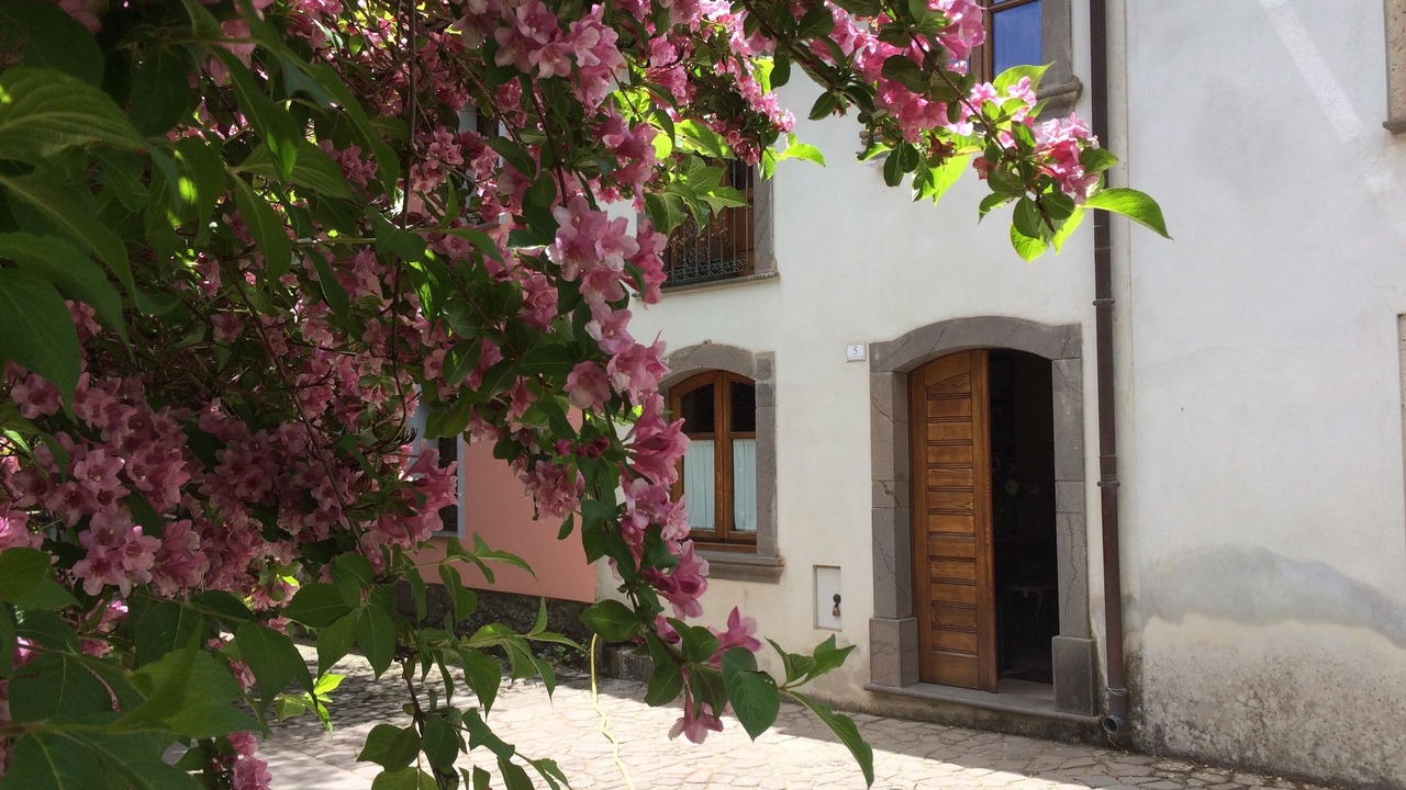 Photo of Outdoor in San Leonardo de Siete Fuentes