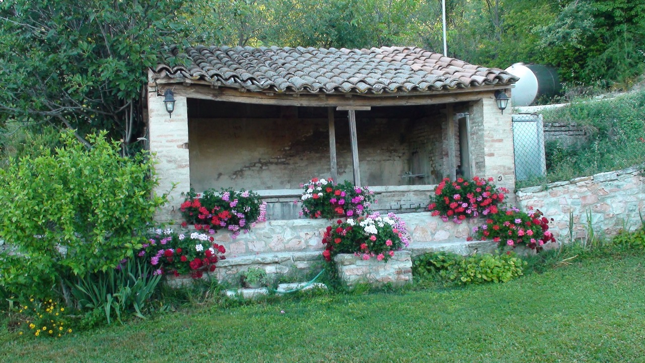 Photo of Outdoor in Avacelli