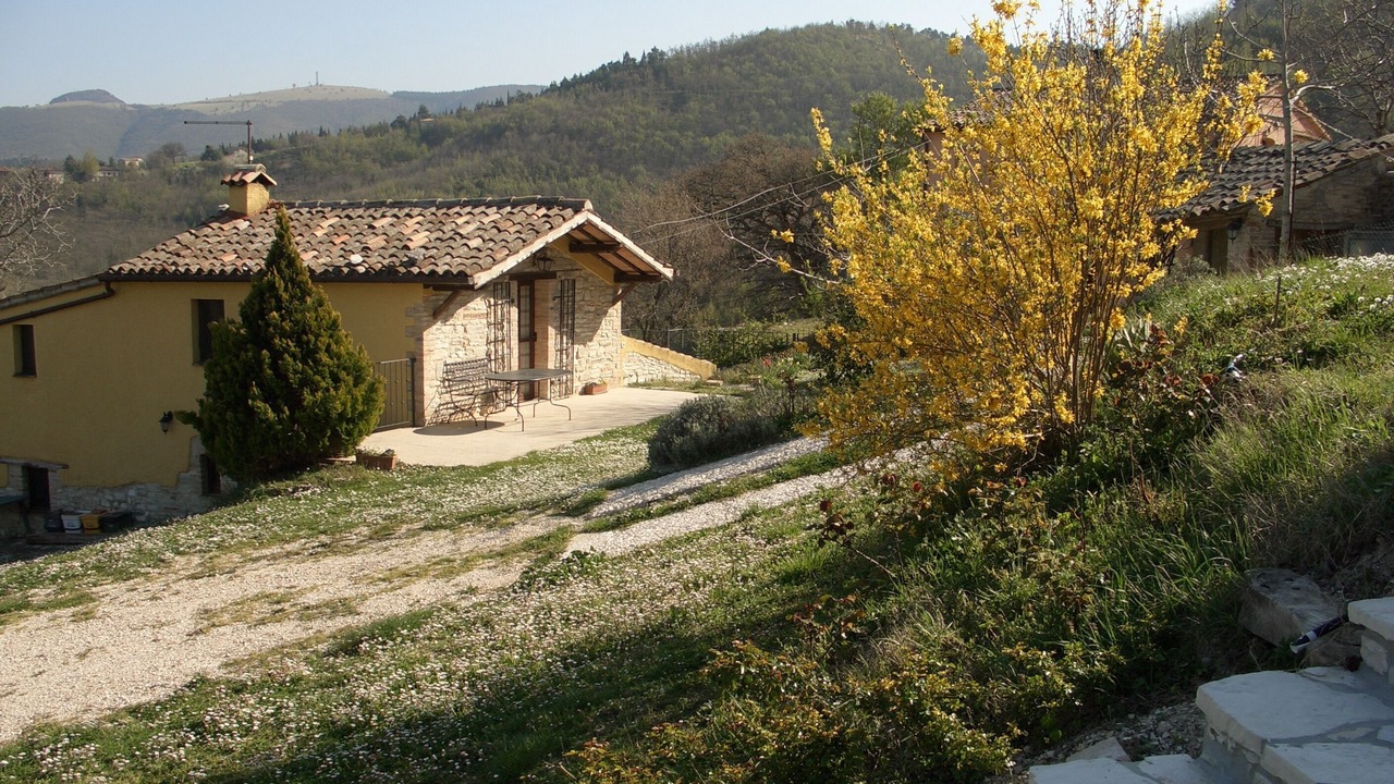 Photo of Outdoor in Avacelli