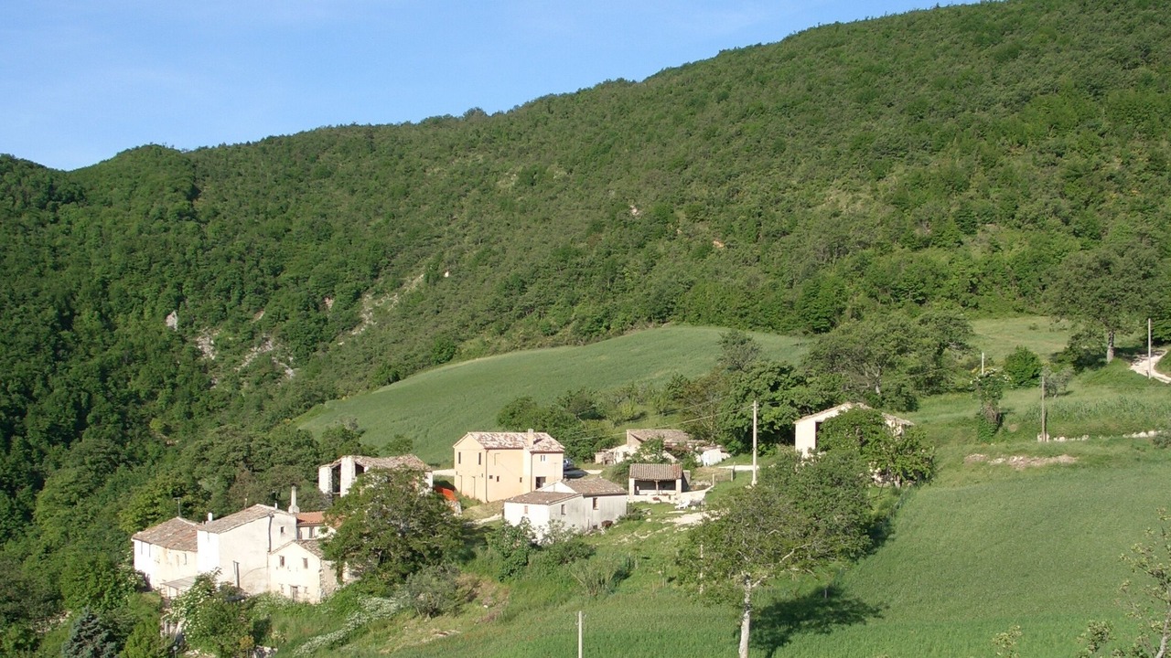 Photo of Outdoor in Avacelli