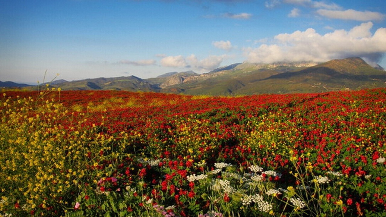 Photo of Outdoor in Campofelice di Roccella