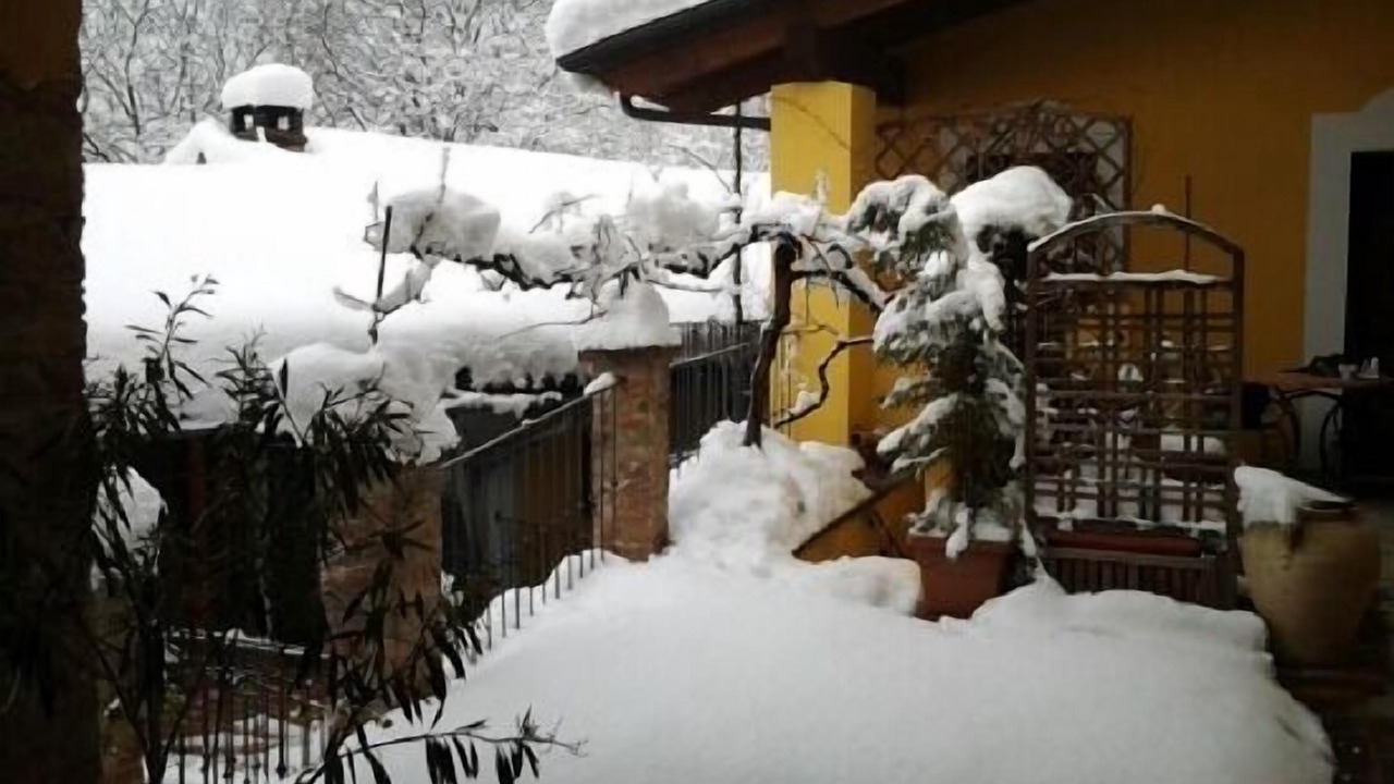 Photo of Outdoor in Garibaldi