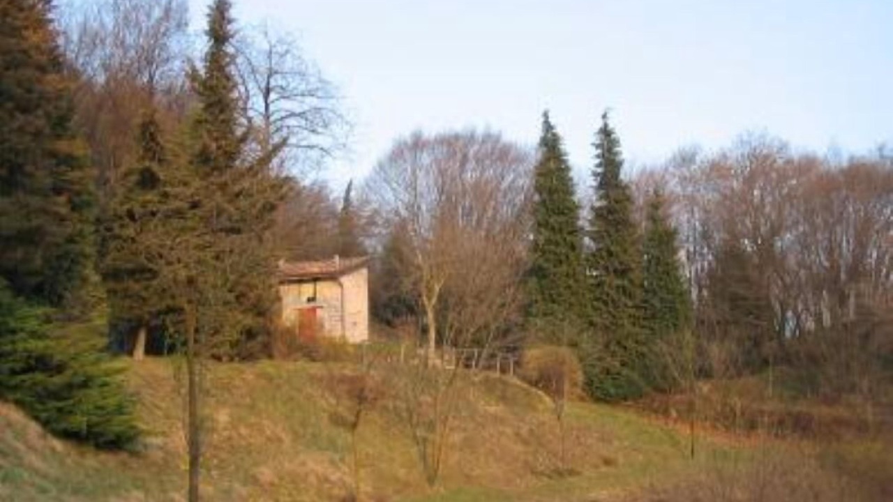 Photo of Outdoor in Solto Collina