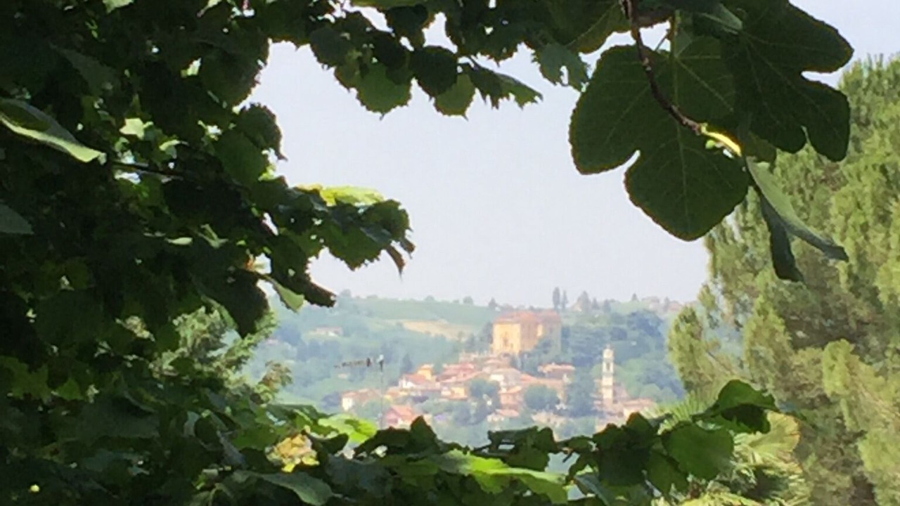 Photo of Others in Canelli