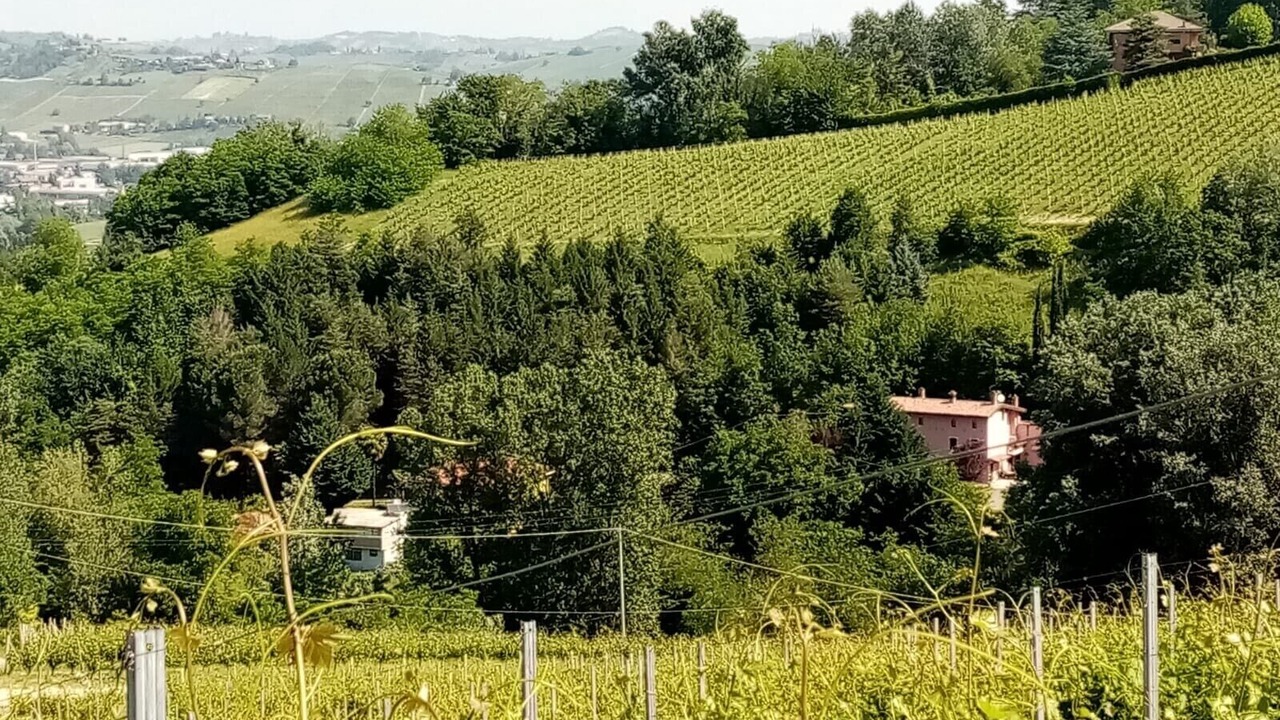 Photo of Outdoor in Canelli