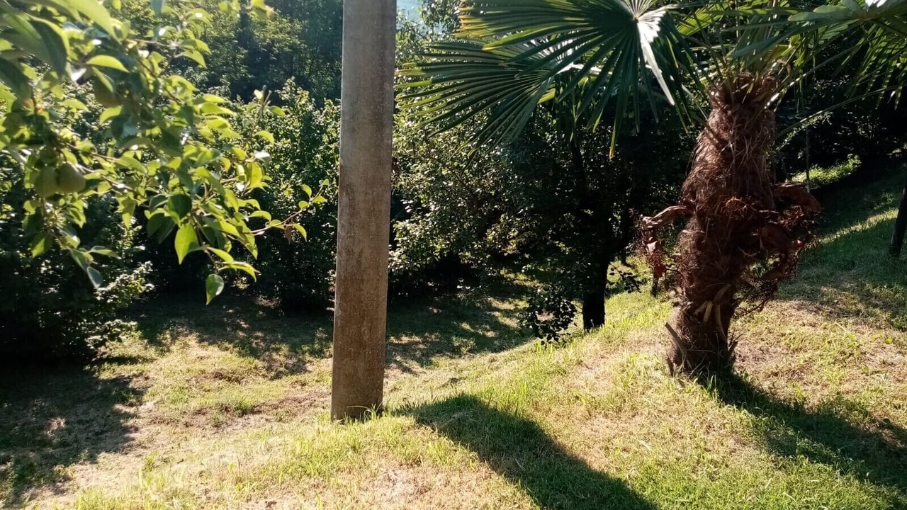 Photo of Outdoor in Canelli