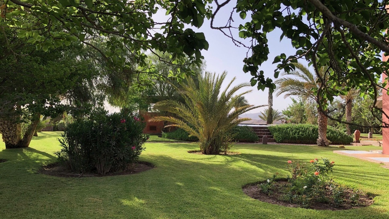 Photo of Outdoor in Afeggou
