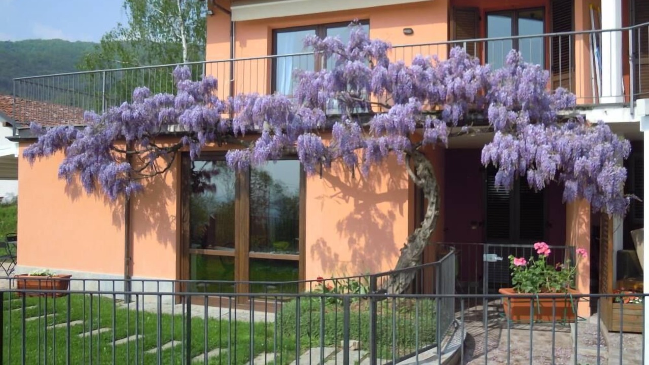 Photo of Outdoor in San Secondo di Pinerolo
